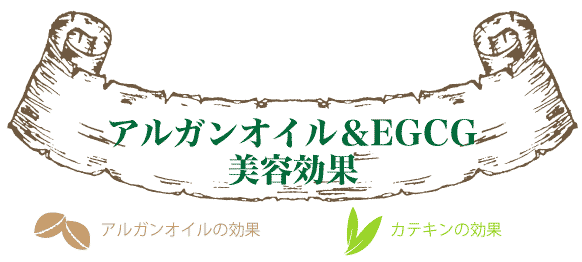 アルガンオイル＆EGCGの美容効果